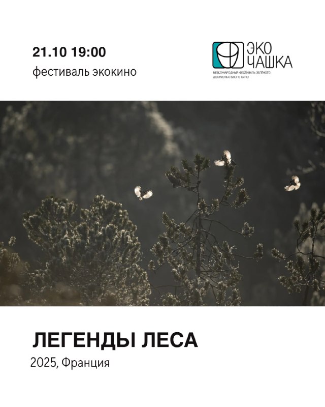 Показ документального фильма «Легенды леса» — Попкорн Драма, 21 окт