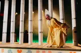 Спектакль «Тайные виды на гору Фудзи»